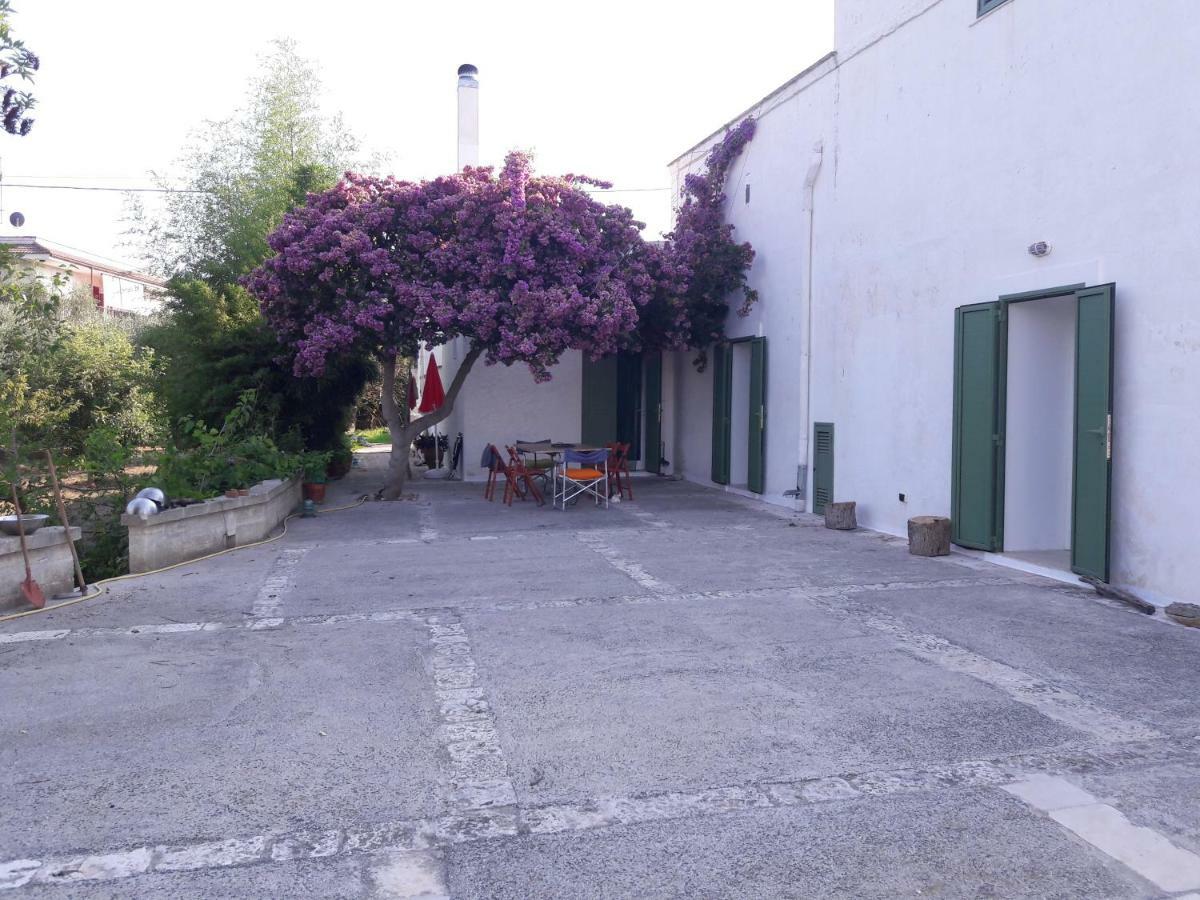 Fra Il Glicine E Il Sambuco Villa Monopoli Bagian luar foto