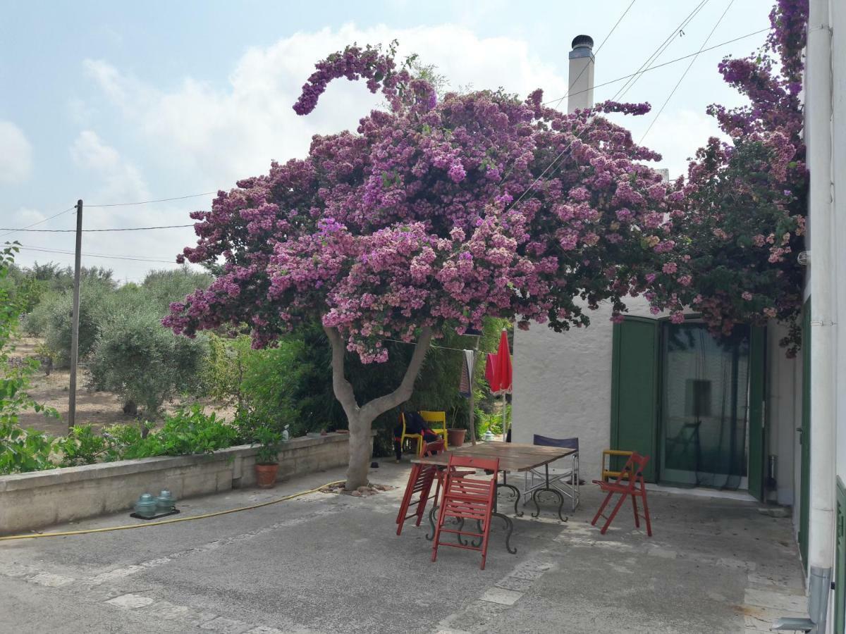 Fra Il Glicine E Il Sambuco Villa Monopoli Bagian luar foto
