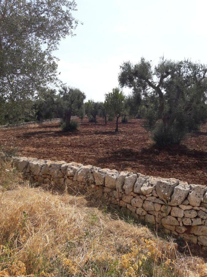 Fra Il Glicine E Il Sambuco Villa Monopoli Bagian luar foto